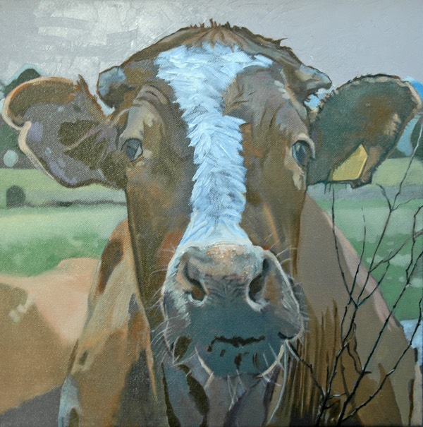 07 Brown cow